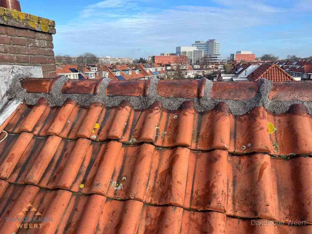 Weert Daken Renoveren Weert Daken Renoveren